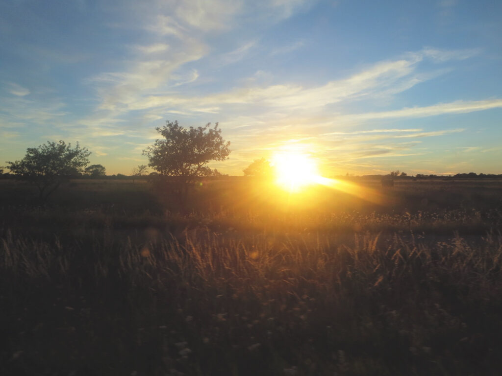 Wie wollen ihr gelebt haben? Zukunftsfrage der Landesregierung jetzt bis 15.1.2021 beantworten
