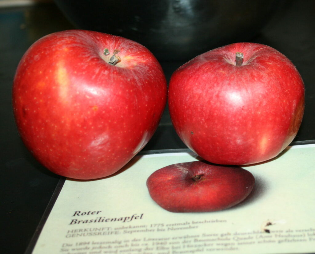 Datenbank des BUND Lemgo hilft bei Recherchen zu alten Obstsorten