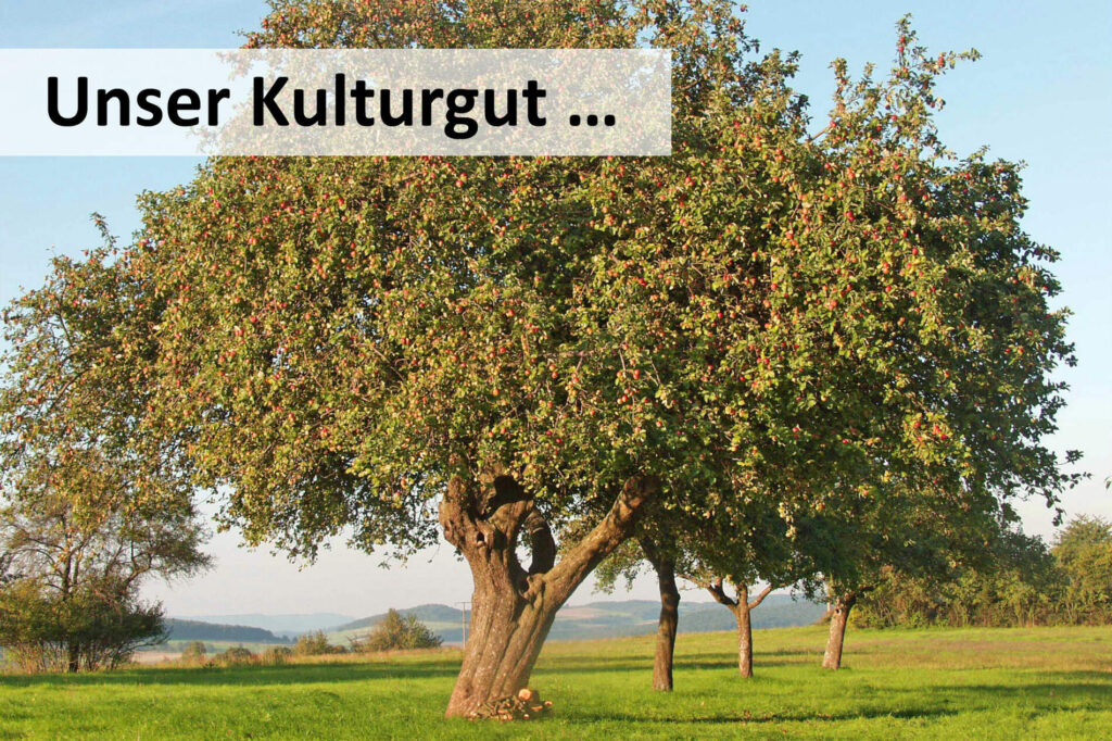 Standards in der Obstbaumpflege – Initiative jetzt unterstützen