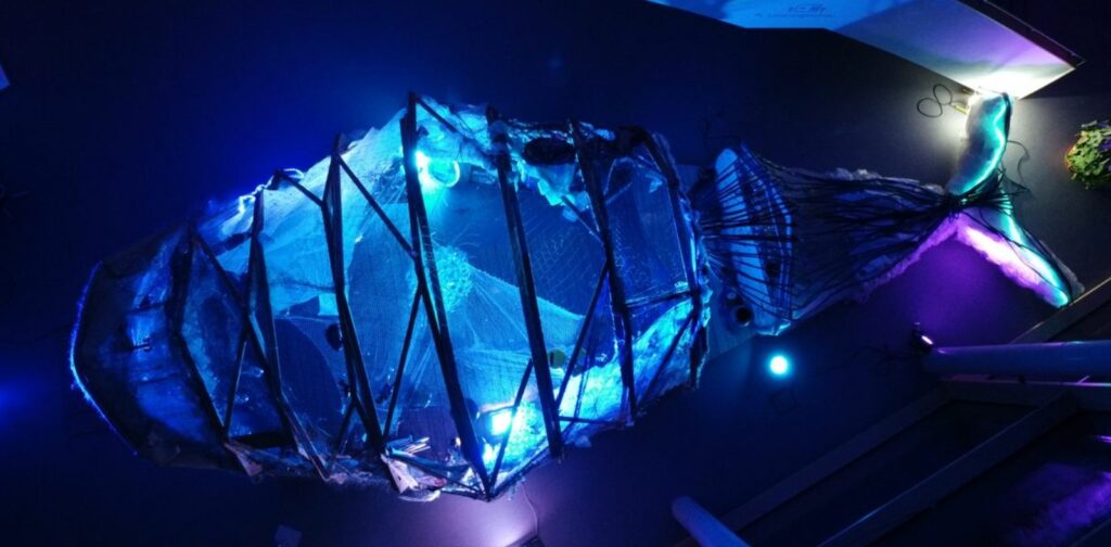 Abstimmen für den Wal